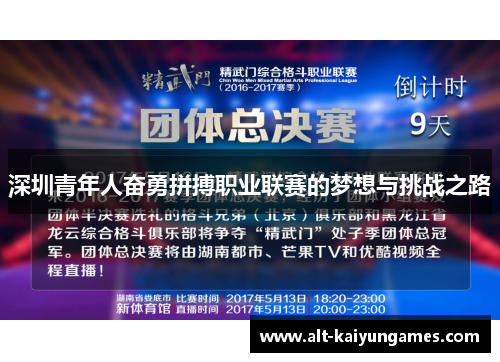 深圳青年人奋勇拼搏职业联赛的梦想与挑战之路