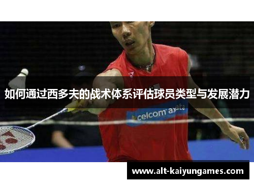 如何通过西多夫的战术体系评估球员类型与发展潜力