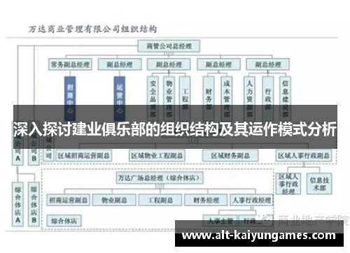 深入探讨建业俱乐部的组织结构及其运作模式分析